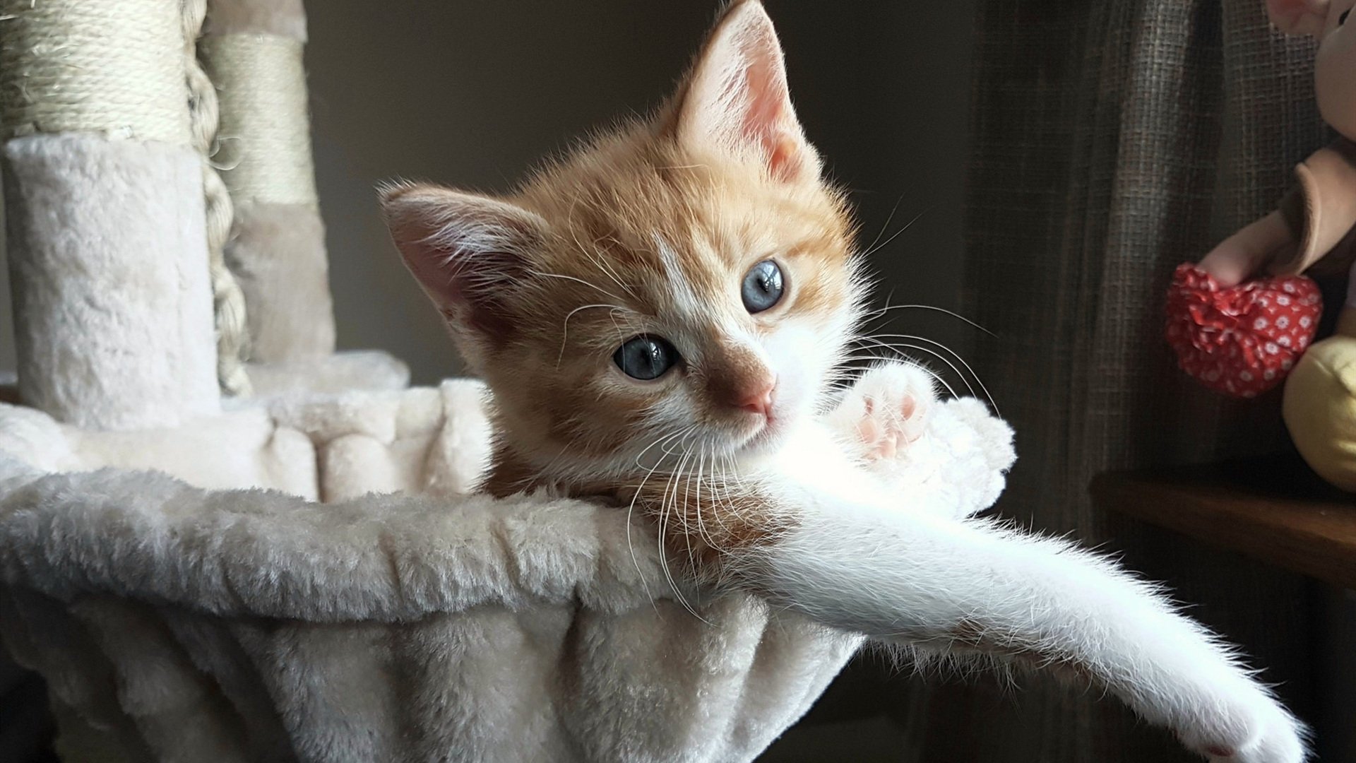 Leyu Sport下载-“西甲战况精彩纷呈，球队各自奋勇向前”，西甲阵容排行榜