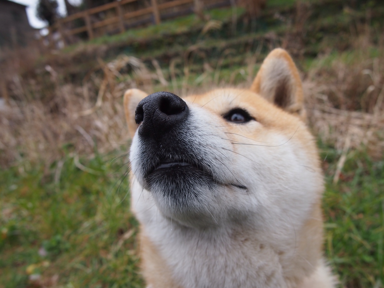 LEYU SPORTS中国官方网站-“西甲战局再掀高潮，强队纷纷冲击榜首”，西甲ds