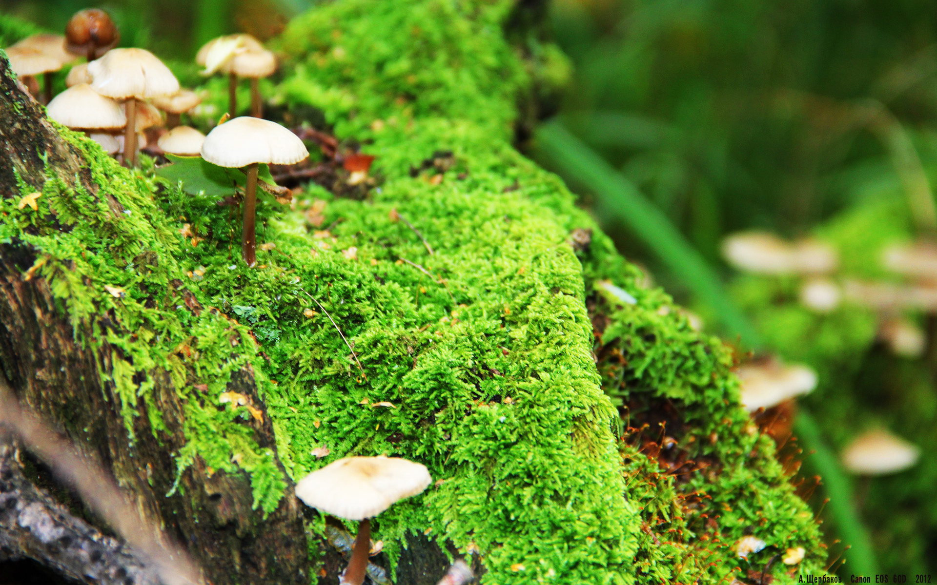 leyu乐鱼官网登录入口-【Juan Soto的致命一击】关键时刻超强表现助球队出线，致命一击是什么技能