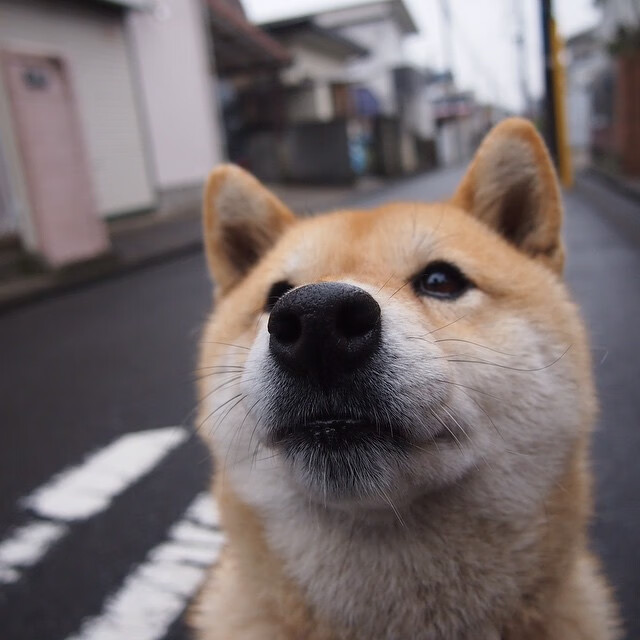 乐鱼电竞· (中国)官方网站-大型水上漂流探险，水域激流的极致体验，水上漂流的区位条件