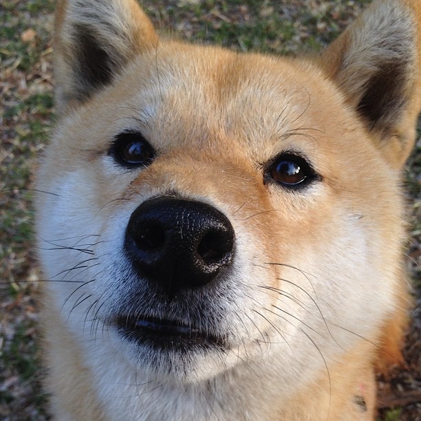 乐鱼体育(中国)官方网站-普拉提课程在高端健身俱乐部中占据重要地位，普拉提健身培训哪里好