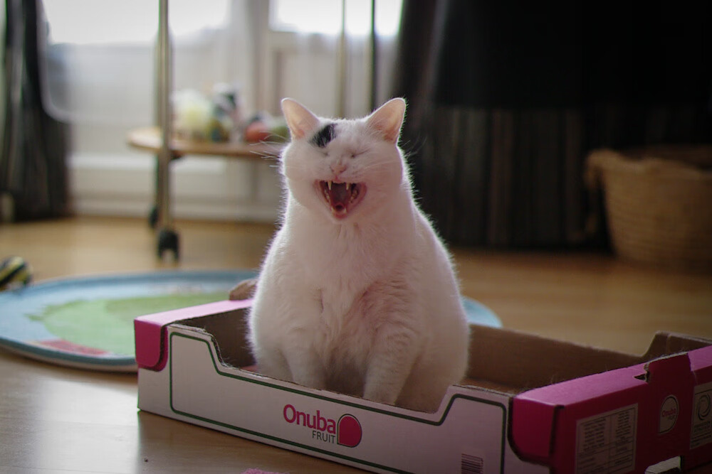 国足归化球员表现引关注,国足归化球员 知乎