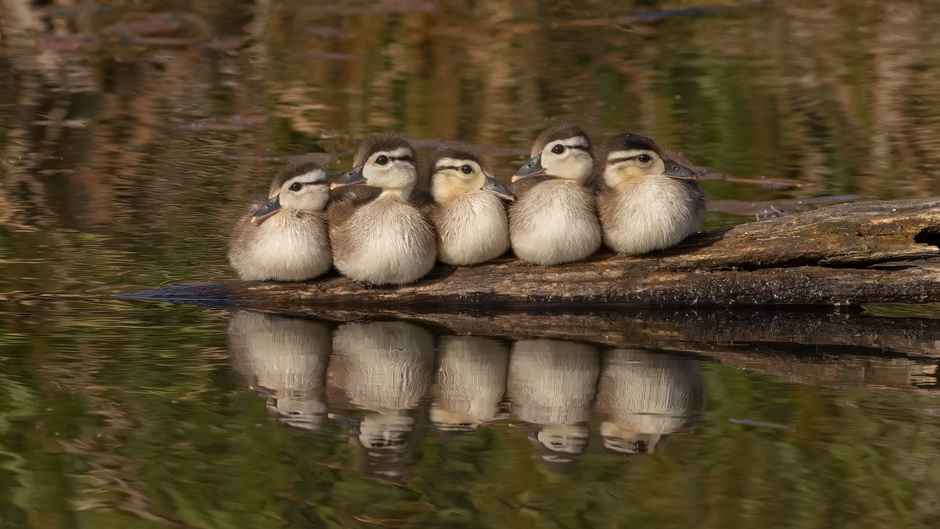 下载乐鱼体育APP-国足心理素质训练成效显著，国足精神