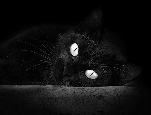 NBA赛季助攻效率排行榜,nba助攻数排行