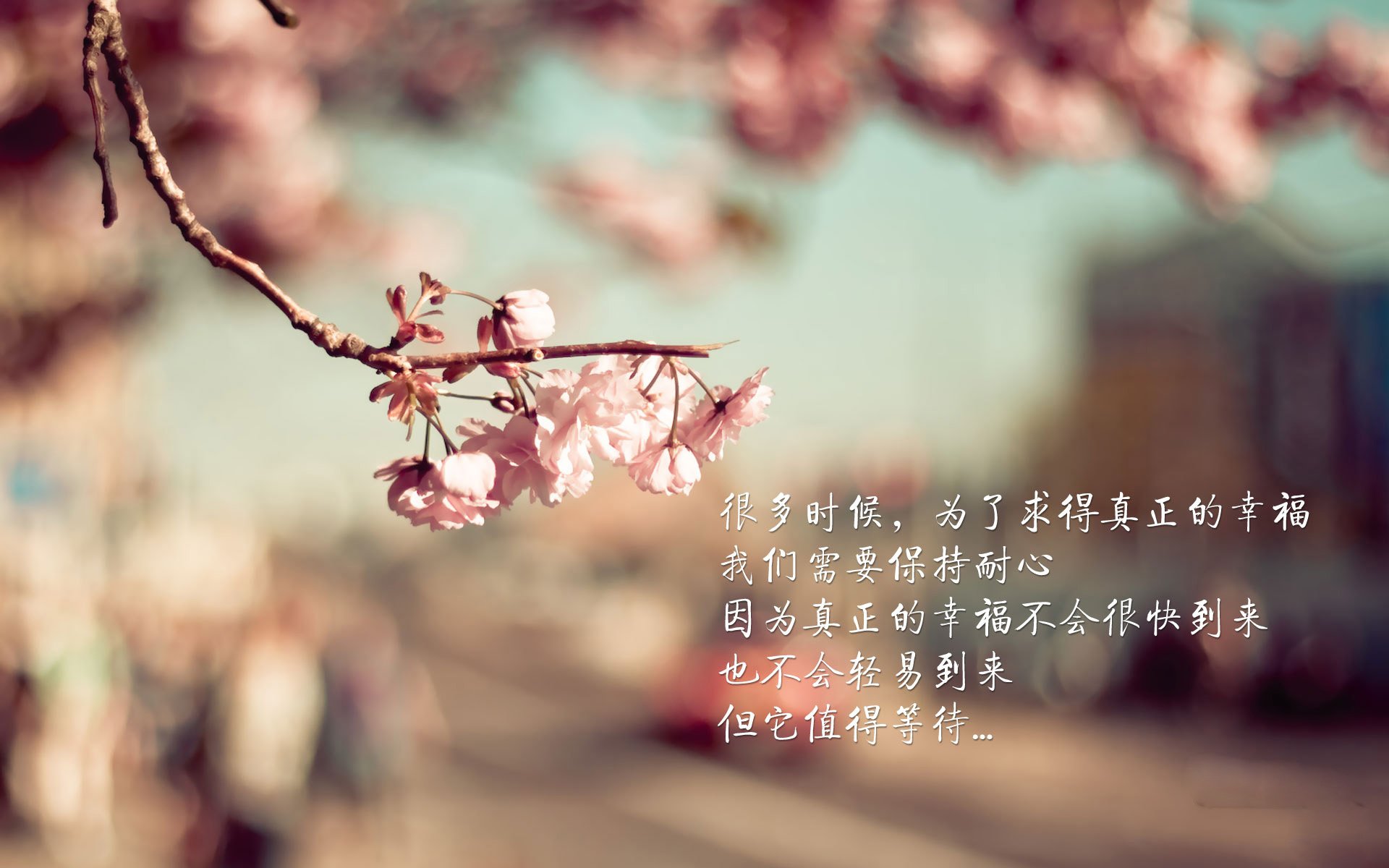 篮球运动员专项技能动作规范化训练标准及实施,篮球运动员基础训练