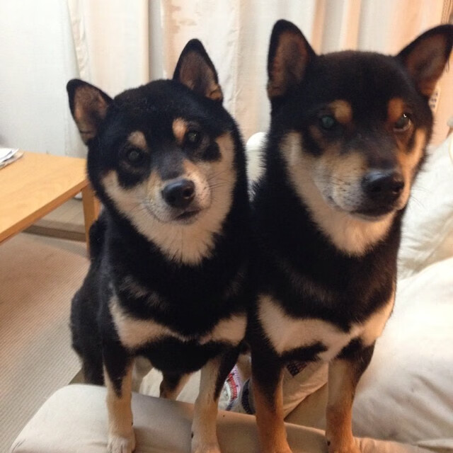 体育明星公益活动引发热潮,体育明星公关案例