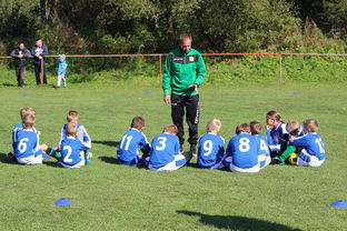 乐鱼体育(中国)官方网站-瑞典团队战术：从快攻到慢球的多变打法，瑞典几分钟进球