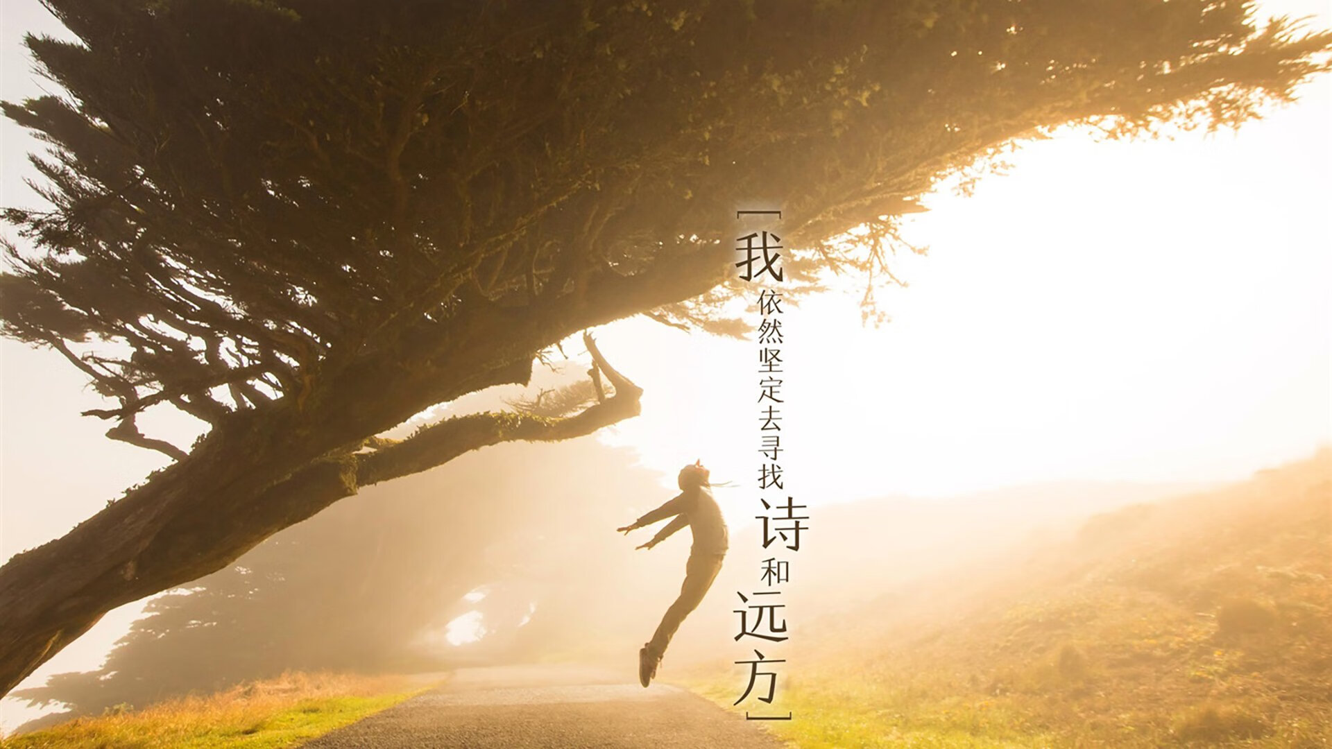 沃尔什决赛节奏掌控精确无误,nba 沃尔