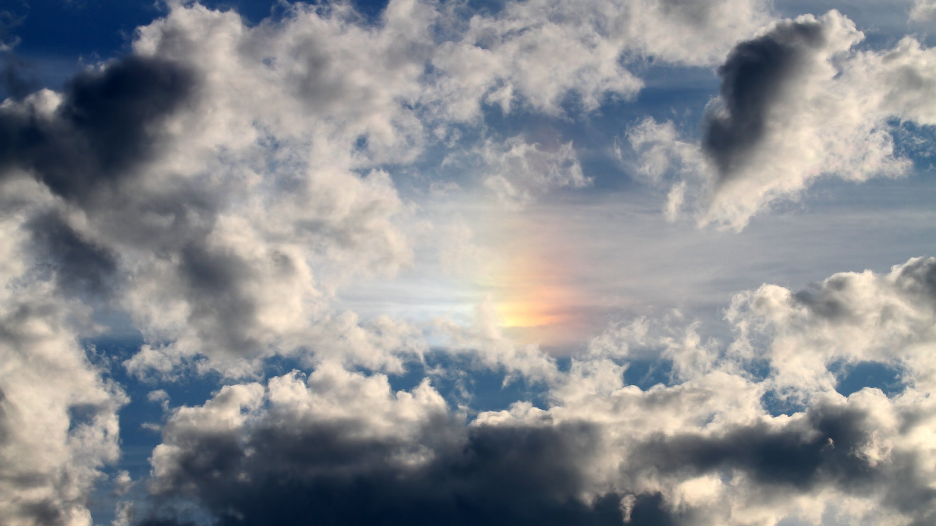 乐鱼电竞· (中国)官方网站-澳大利亚袋鼠队：橄榄球冠军锦标赛的战术灵活性，袋鼠澳大利亚度百科