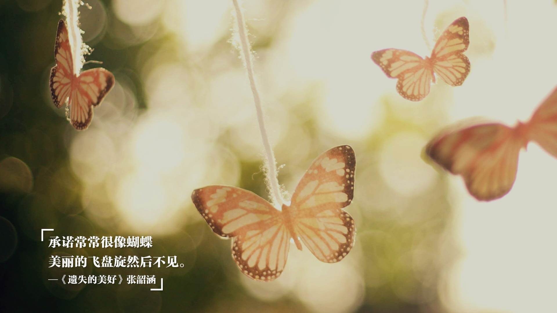 青年冠军杯开幕，全球新秀齐聚一堂，全国青年冠军